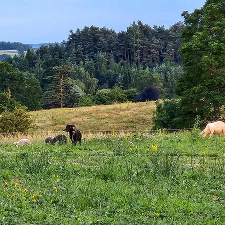 Lejlighed Highcroft At Wetheral *